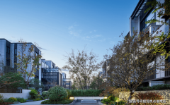 部巧妙融入光柱和星空顶