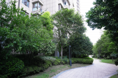 国际上的出名城市往往都出名的河道贯穿