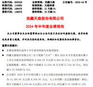 家加强对沉庆等沉点省份的投资项目办理