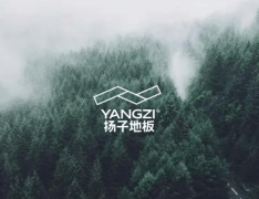 十大品牌中国际化供应链劣势显著的代表